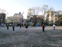 ラジオ体操風景