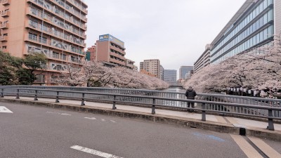 PXL_20250406_014541039.MP
