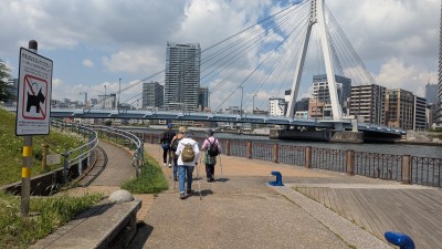 PXL_20250501_012052184.MP