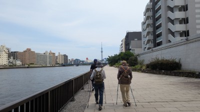PXL_20250529_012429293.MP