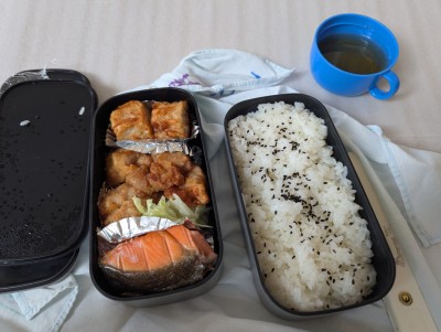 PXL_20251106_025255873.MP