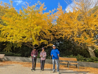 PXL_20251120_011140009.MP