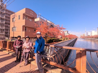 PXL_20251120_024128066.MP