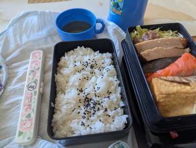 PXL_20260117_030434674.MP