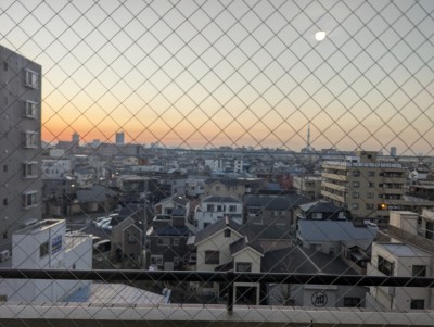 PXL_20260117_075638259.MP