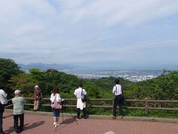 富士山の見えなかった日本平